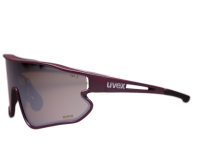 UVEX Sportbrille 4301-3900 9055