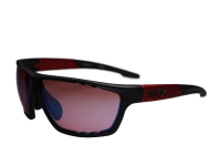 UVEX Sportbrille 4006-1241 9047