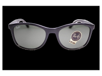 Ray Ban Sonnenbrille RB4374-601/31