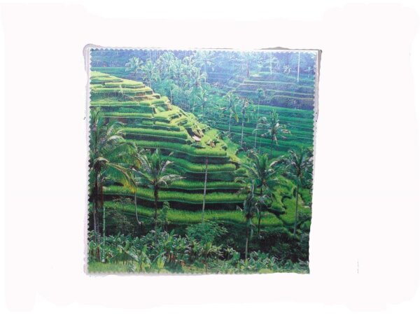 Mikrofasertuch &quot;Reisterrassen in Bali&quot; Gr&ouml;&szlig;e 18,5*18,5 cm von La Kelnet