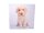 Mikrofasertuch &quot;Hund mit Perlenkette&quot;  Gr&ouml;&szlig;e 18,5*18,5 cm von La Kelnet