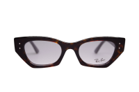 Ray Ban Kunststoff Fassung Modell RB7330 8320  inkl....