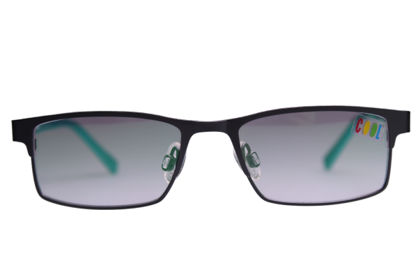 Iga Optik Fassung 1096-06