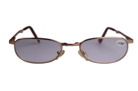 Lesebrille Faltbar + 1.00