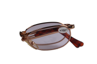 Lesebrille Faltbar + 1.00
