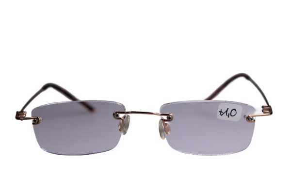 Lesebrille Gold & Havanna +1.00