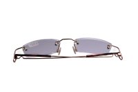 Lesebrille Gold & Havanna +1.00