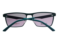 Cubista Titanium Fassung 8673 C1