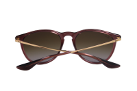 Ray Ban Sonnebrille RB4171 6593T5