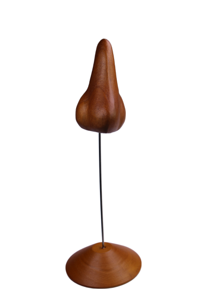 Brillennase "Großer Zinken"