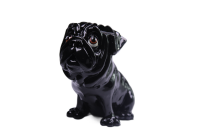 Brillennase "Brillenhund Mops"