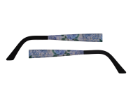 Eye Max Wechselb&uuml;gel 5650 2002