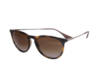 Ray-Ban Erika RB4171 710/T5