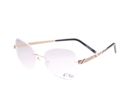 FLAIR Brillenfassung 5066-100